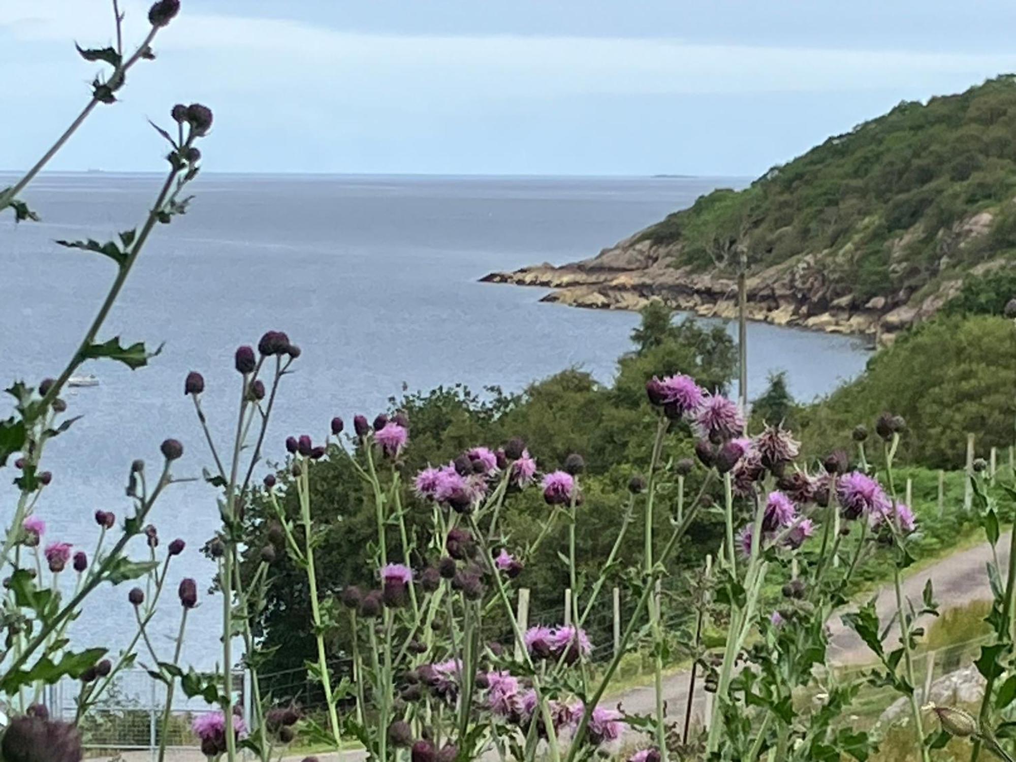 Waterfront Cottage Applecross Peninsula Ardheslaig 外观 照片